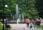 image_9088.jpg