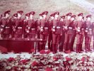 Файл : image_9107.jpg
Размер файла: 123KB
Размеры : 781x586
Дата добавления : 04 Июнь 2012г. image_9107.jpg