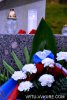 image_33448.jpg
