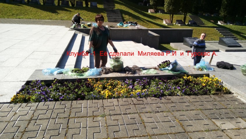 Нажмите для просмотра в полном размере