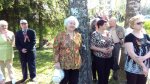 image_41295.jpg