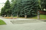 image_41433.jpg