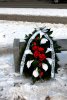 image_42874.jpg