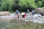 image_45105.jpg