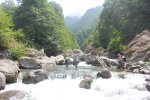 image_45109.jpg