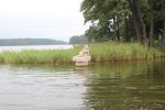 image_45150.jpg