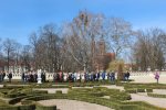 image_46627.jpg