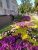 image_47995.jpg