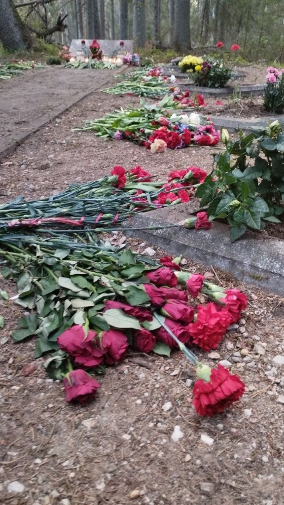 Нажмите для просмотра в полном размере